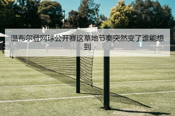 温布尔登网球公开赛这草地节奏突然变了谁能想到（leyu）